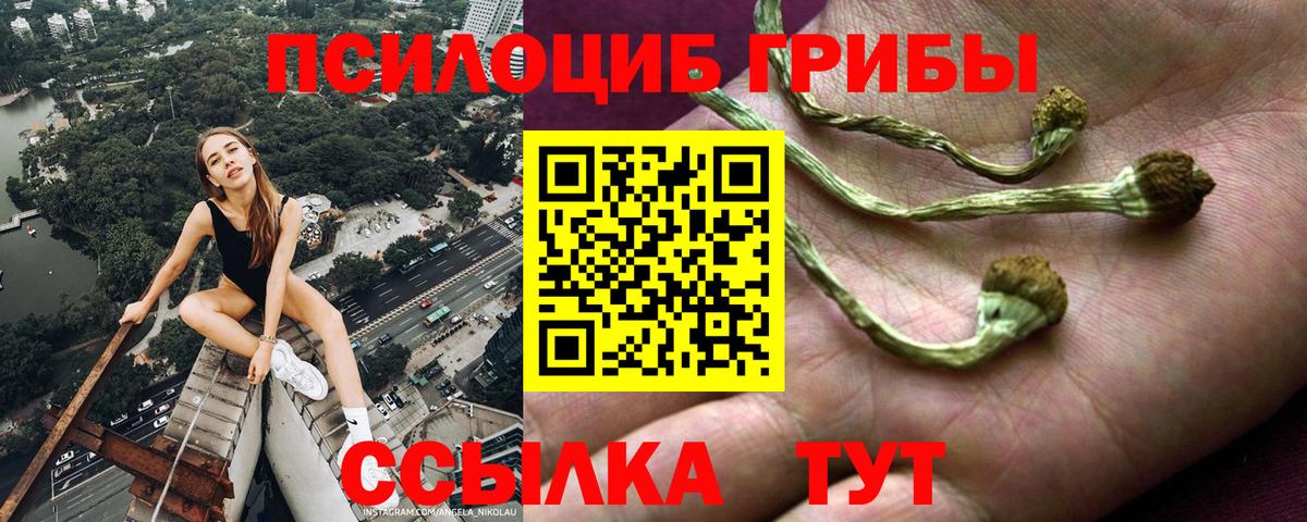 Псилоцибиновые грибы мухоморы  Вход с VPN  Донецк 